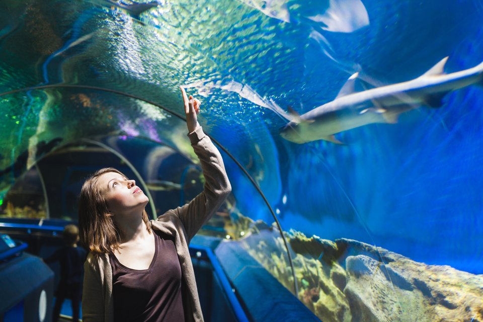Zoo & Aquarium Month: Innovative Aquariums Around The World