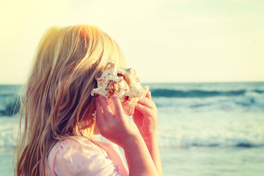 Searching for Seashells: Our Best Tips