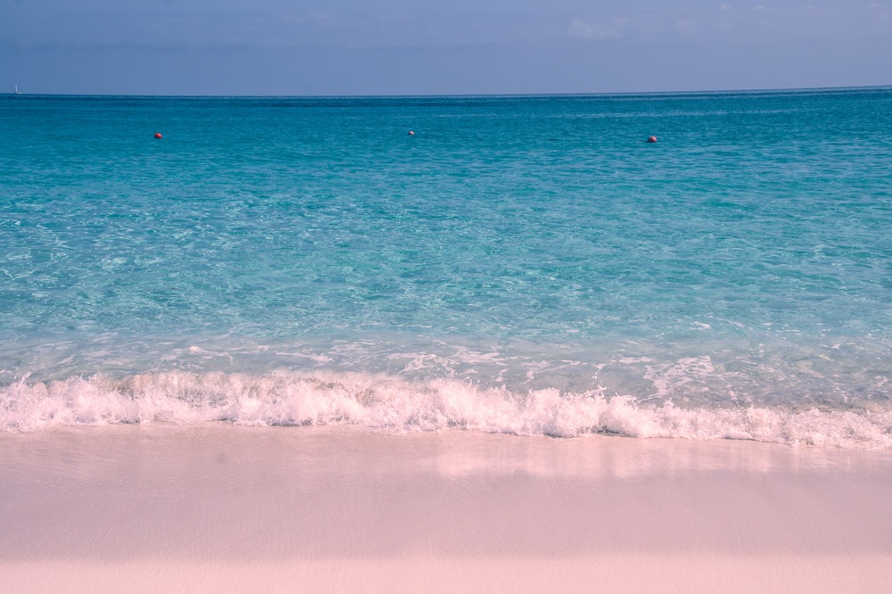 Pretty in Pink: Our Favorite Valentine’s Day Destinations