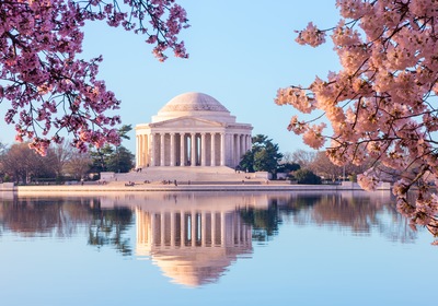 Boating in Full Bloom