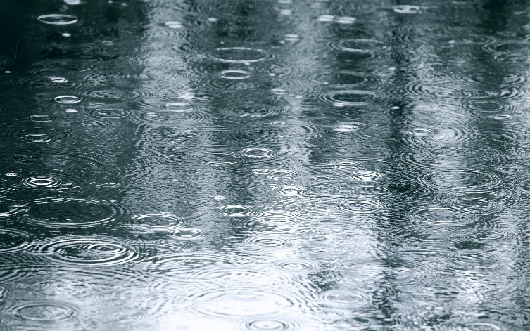 Embracing Rain Showers (and Beyond)
