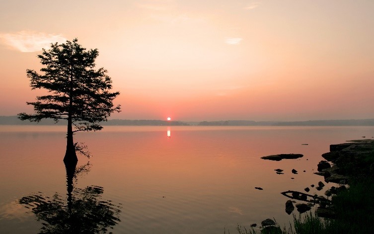 Cliffs and Watersports Fun at Percy Priest Lake