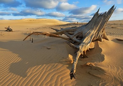 Michigan’s Silver Lake Sand Dunes: A Desert Delight at the Heart of the Great Lakes