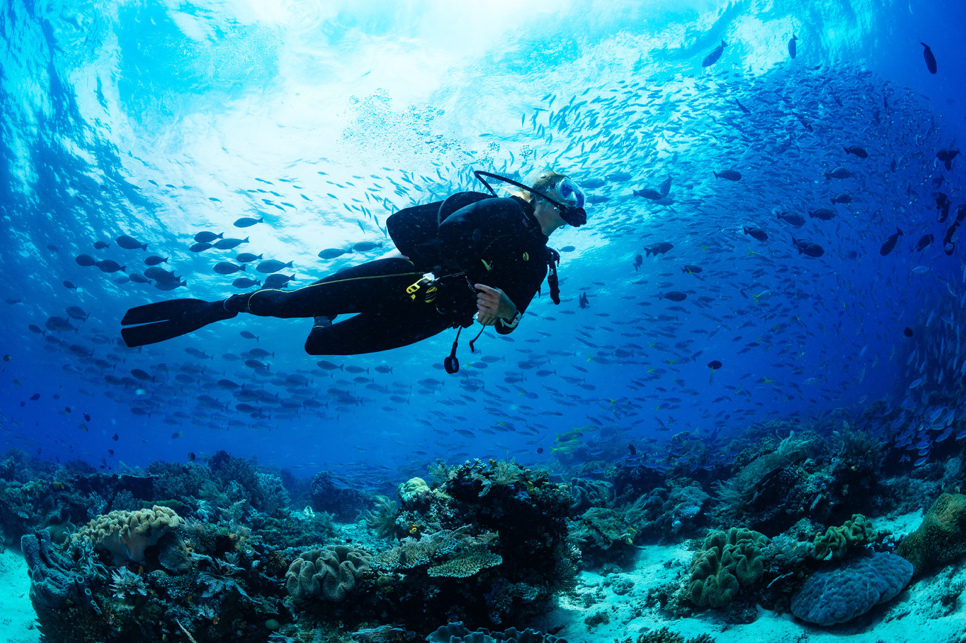 Best Places To Scuba Dive