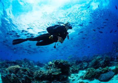 Best Places To Scuba Dive