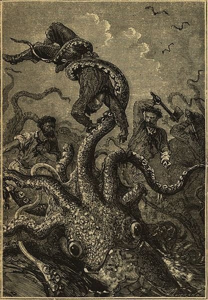 The Kraken