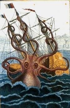 The Kraken