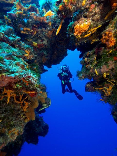 10 Captivating Reefs