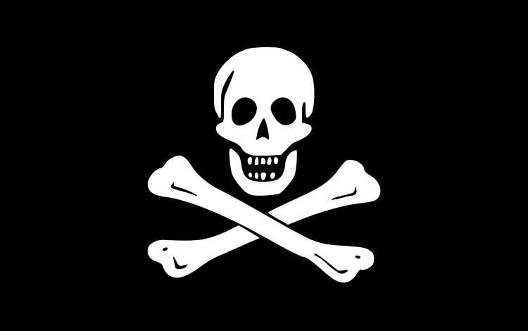 The Jolly Roger Flag