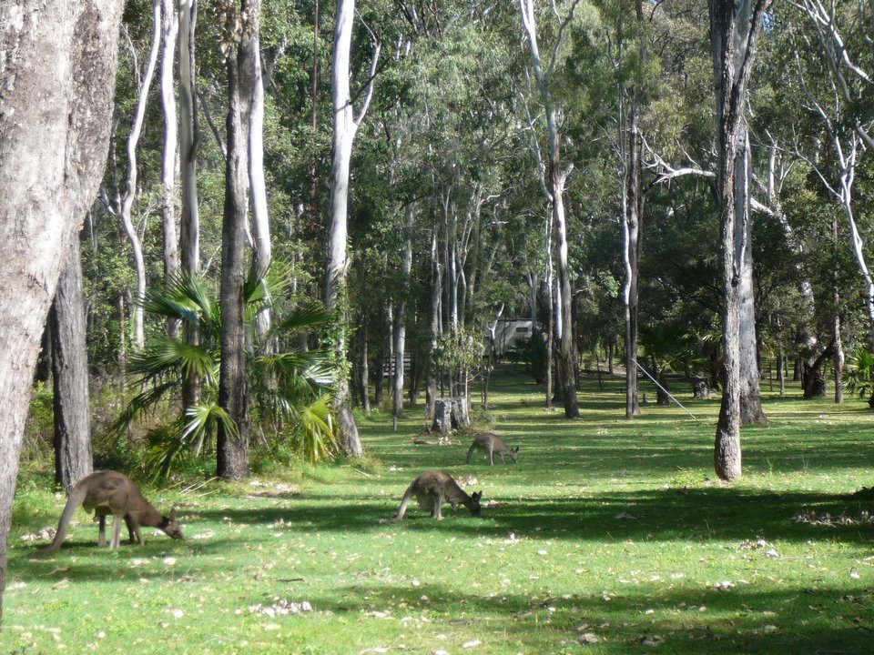 Runaway to Queensland, Australia!