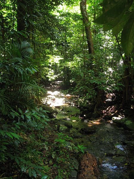 Runaway to Queensland, Australia!