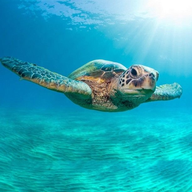 Top 10 Boating Photos on Instagram