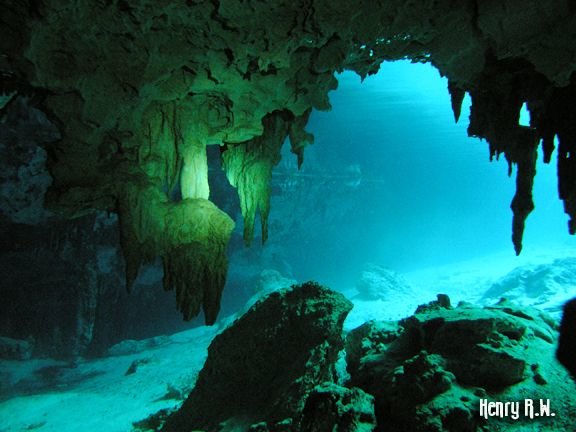 Our Favorite Dive Sites