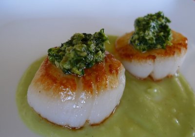 Grilled Scallops