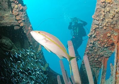 Diving at the Hilma Hooker