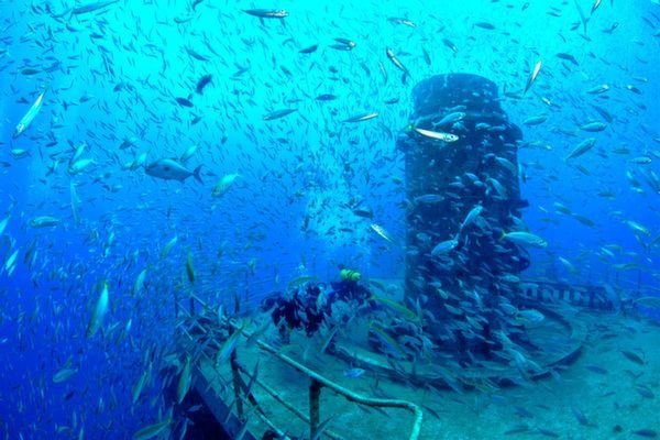 The Best Shipwreck Dive Sites