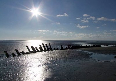 Famous Shipwrecks: Adelaide Baker