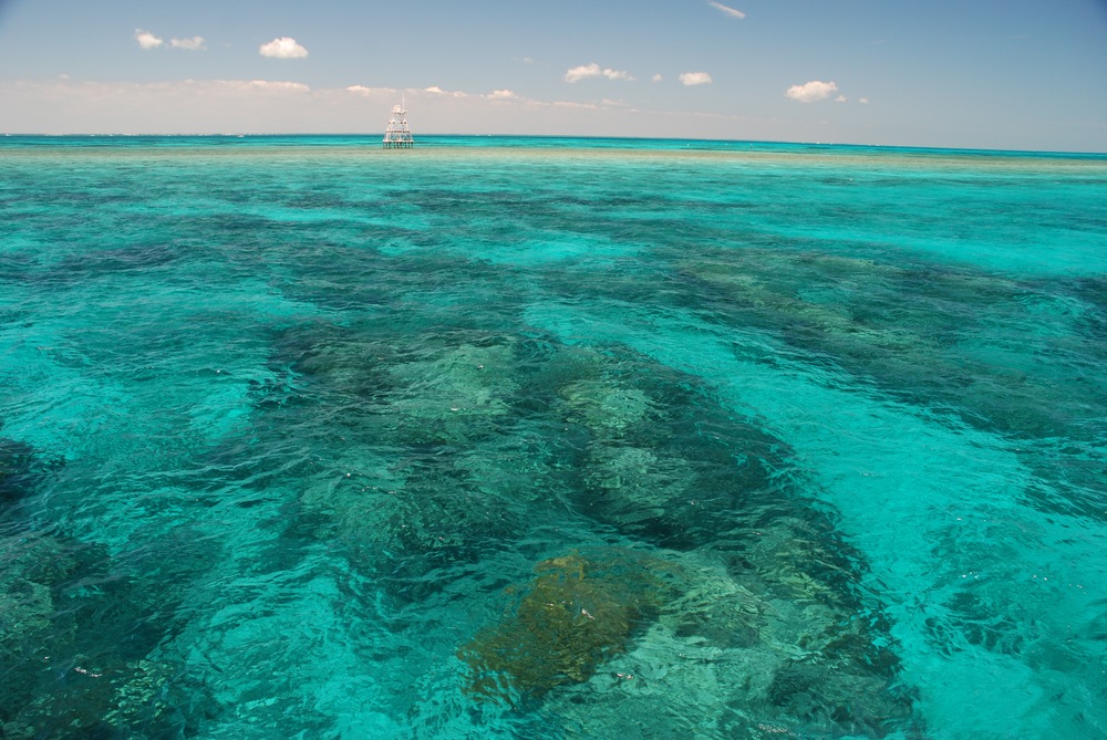 A Keys Cruising Adventure, Above And Below The Surface