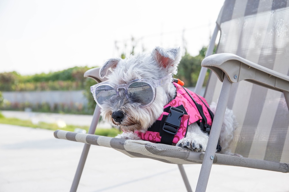 It’s National Napping Day! Achieve Your Best On-The-Water Snooze