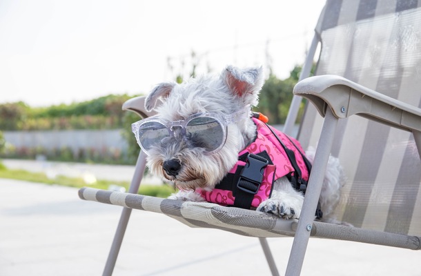 It’s National Napping Day! Achieve Your Best On-The-Water Snooze
