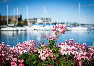 Monterey’s Guide To Gardening On The Water