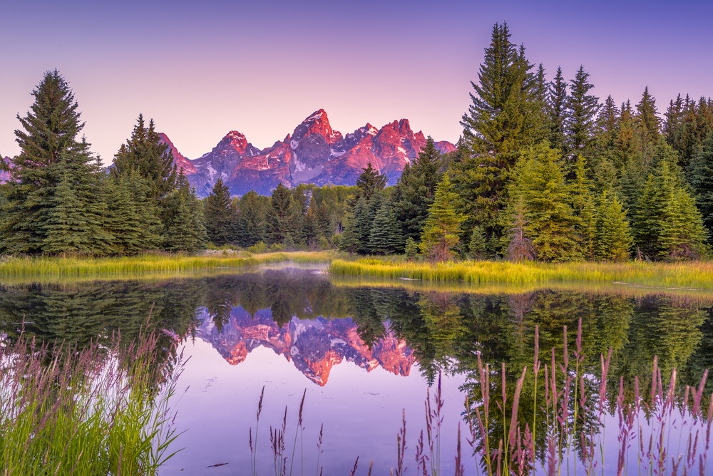 Wake Up To Adventure In Jackson Hole, Wyoming