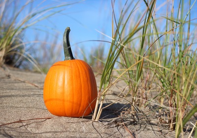 A Culinary Cruise Through Pumpkin Pie History