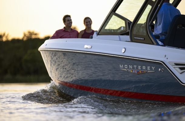 Best Marine Creatures to See on Your Next Boat Trip