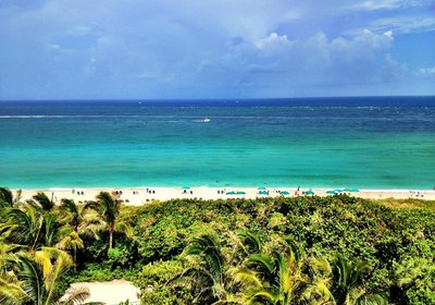 It's time for the Palm Beach International Boat Show!