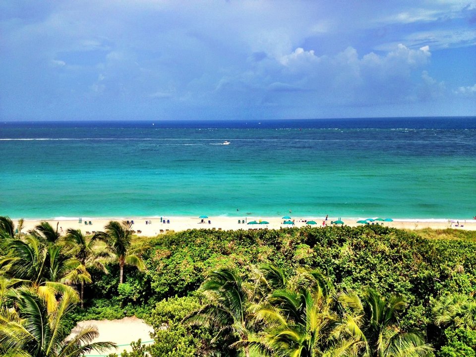 It's time for the Palm Beach International Boat Show!