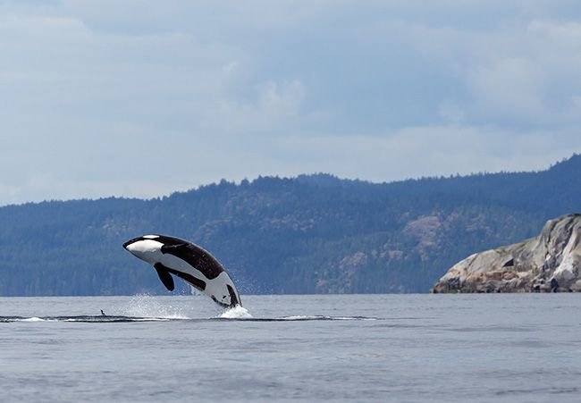 A Cool Summertime Trip: Vancouver