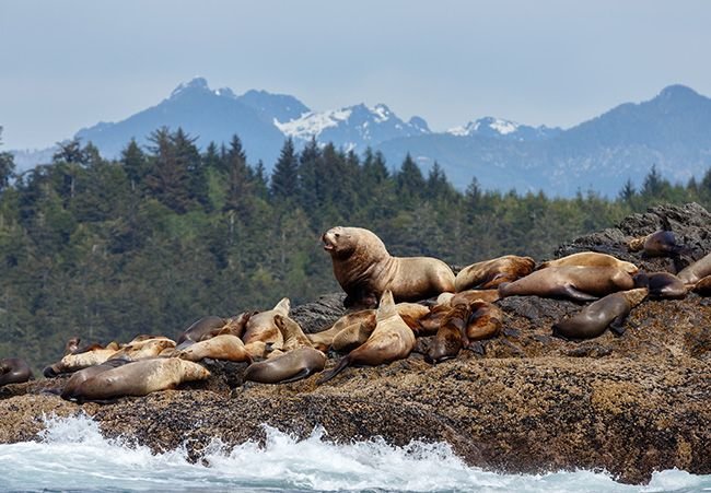 A Cool Summertime Trip: Vancouver