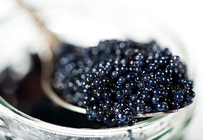 National Caviar Day: The Seafood Symbol of Wealth