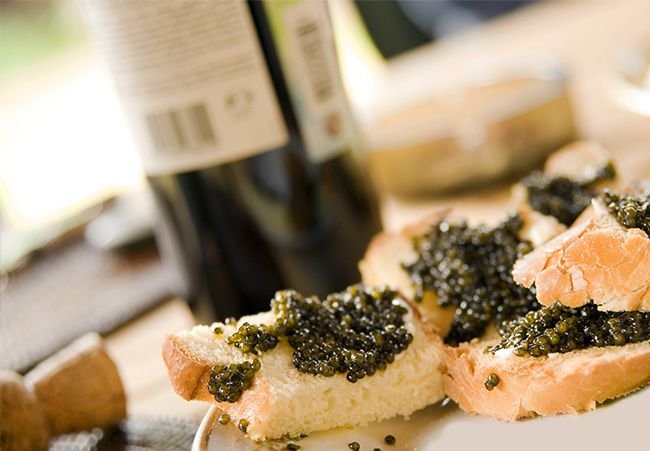 National Caviar Day: The Seafood Symbol of Wealth