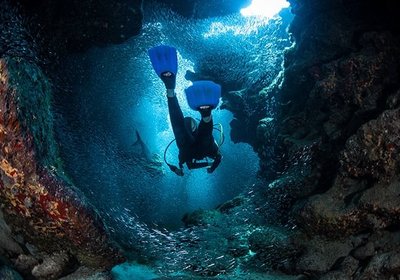 Scuba Diving: How to Get Started