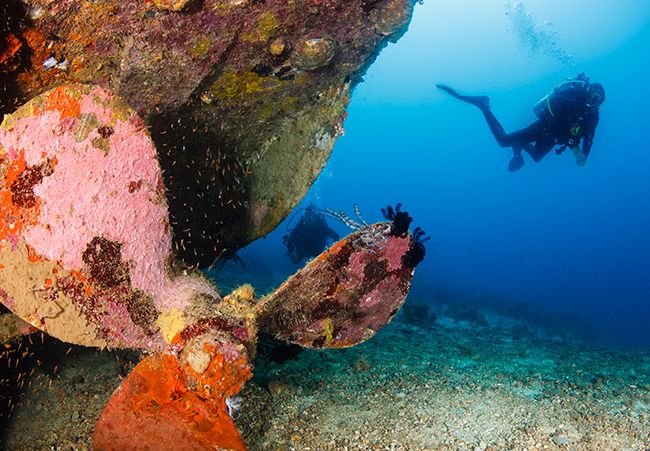 Scuba Diving: How to Get Started