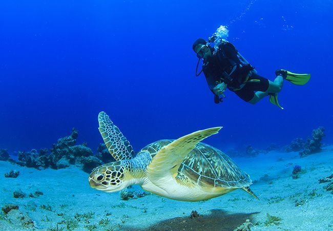Scuba Diving: How to Get Started