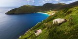 Achill Island