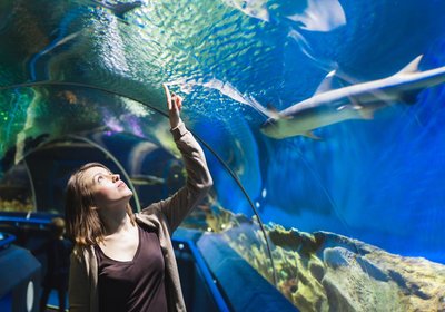 Zoo & Aquarium Month: Innovative Aquariums Around The World