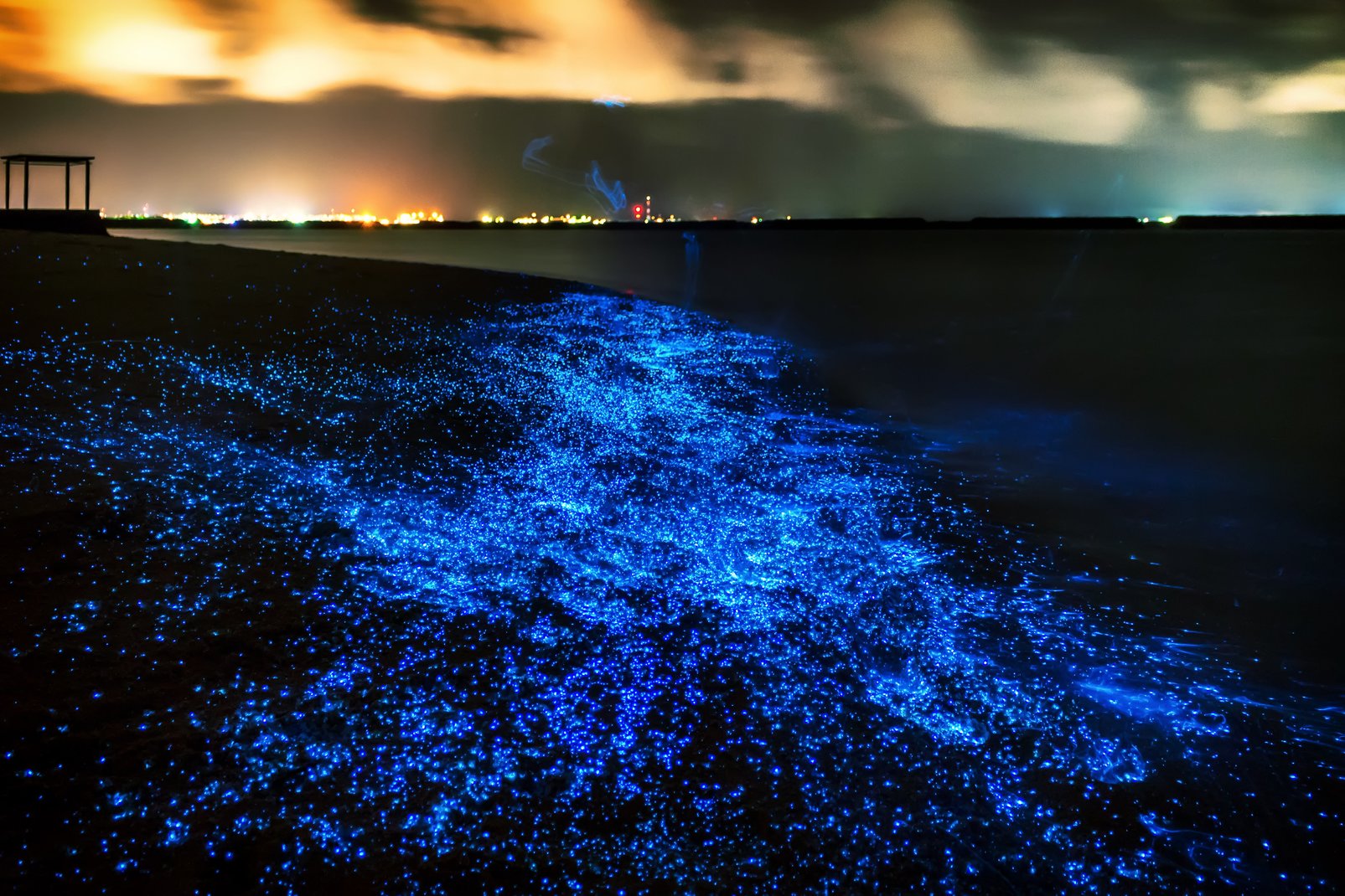 Explore Glow-in-the-Dark Water!