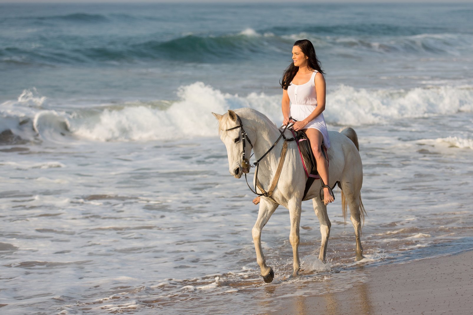 How to go Horseback Riding at the Beach Monterey Boats