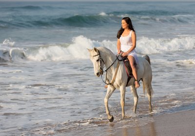 How to go Horseback Riding at the Beach