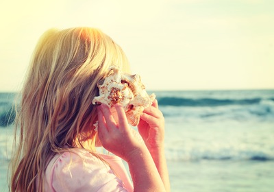 Searching for Seashells: Our Best Tips