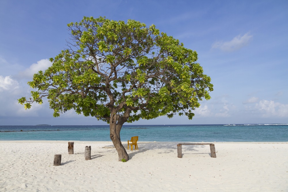 Exploring the Baa Atoll