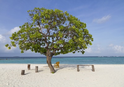 Exploring the Baa Atoll