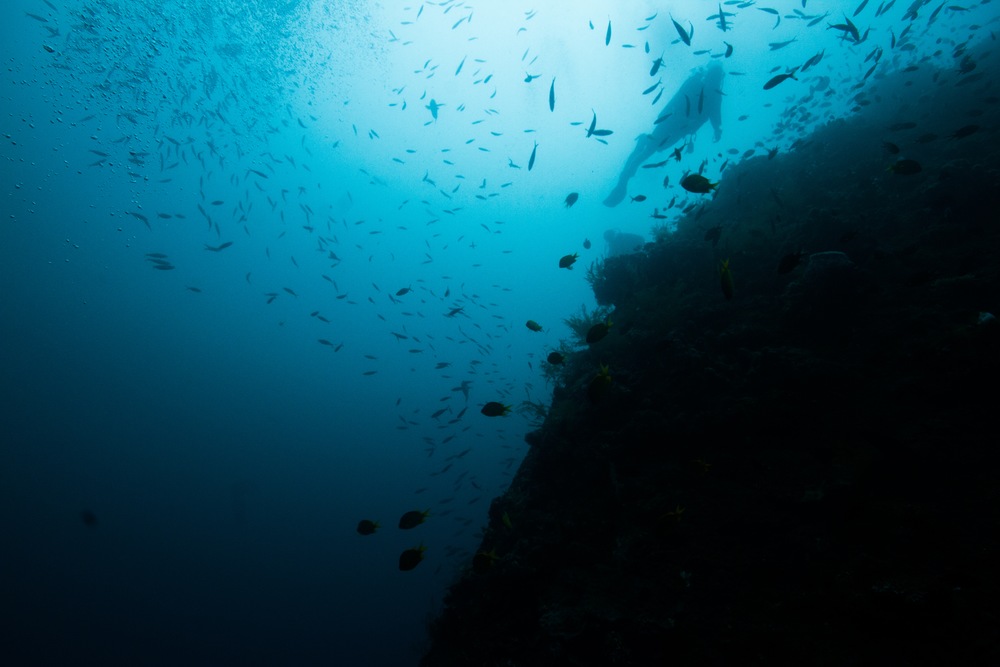 The Mysterious Thrill of Wreck Diving