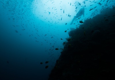 The Mysterious Thrill of Wreck Diving