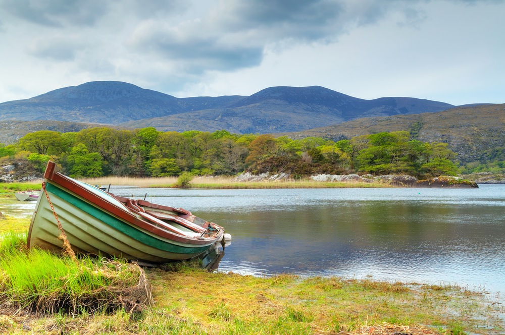 Irish-Inspired Names for Your Monterey