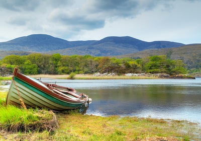 Irish-Inspired Names for Your Monterey