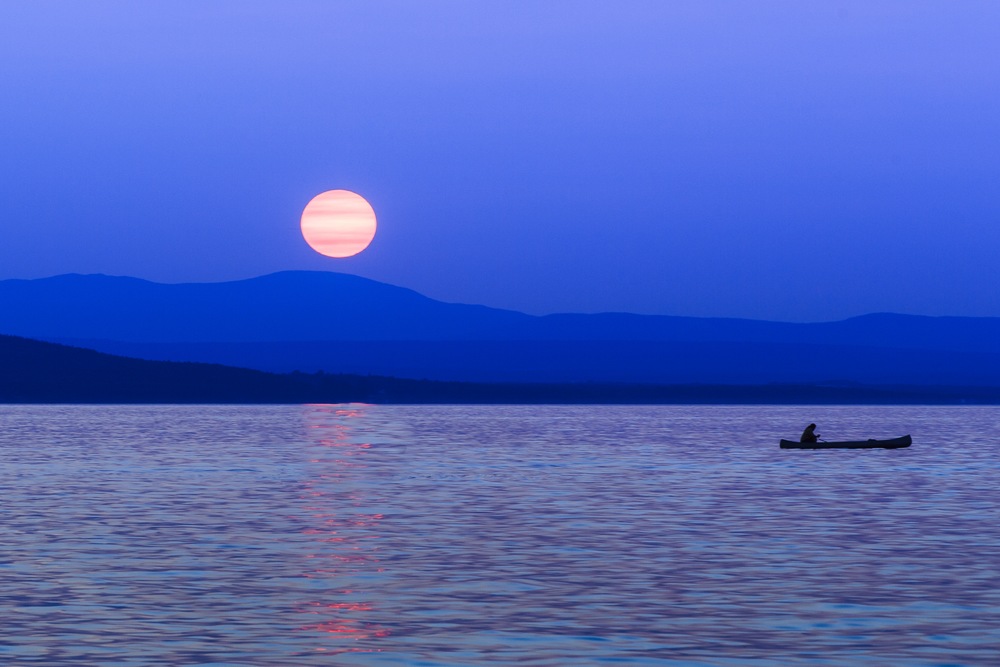 Meet Champ: New England's Resident Lake Monster